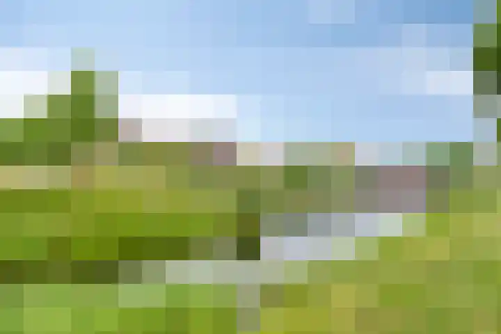 Vestesingel 84 Assen thumbnail 36