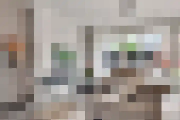 Vestesingel 94 Herten thumbnail 11
