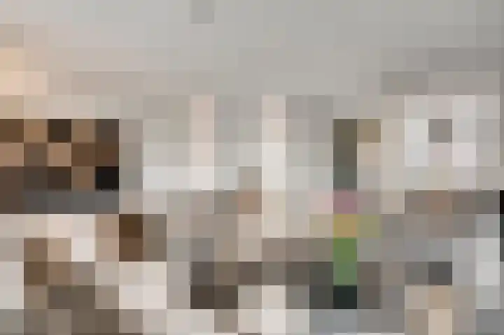 Vestesingel 94 Herten thumbnail 12