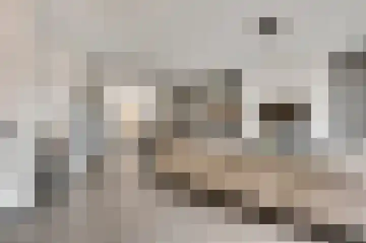 Vestesingel 94 Herten thumbnail 13