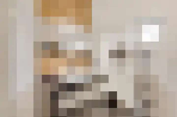 Vestesingel 94 Herten thumbnail 28