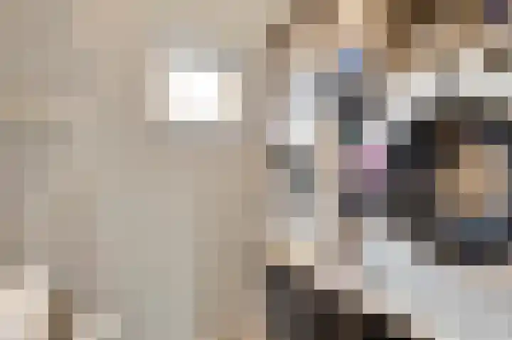 Vestesingel 94 Herten thumbnail 33