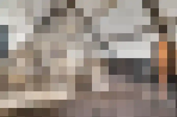 Vestesingel 94 Herten thumbnail 37