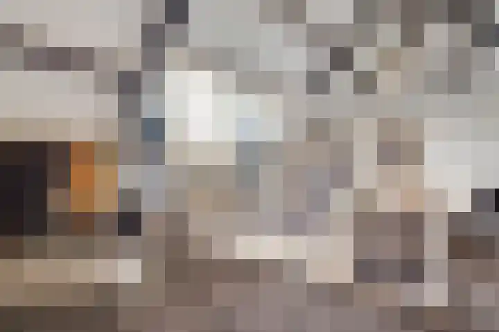 Vestesingel 94 Herten thumbnail 38