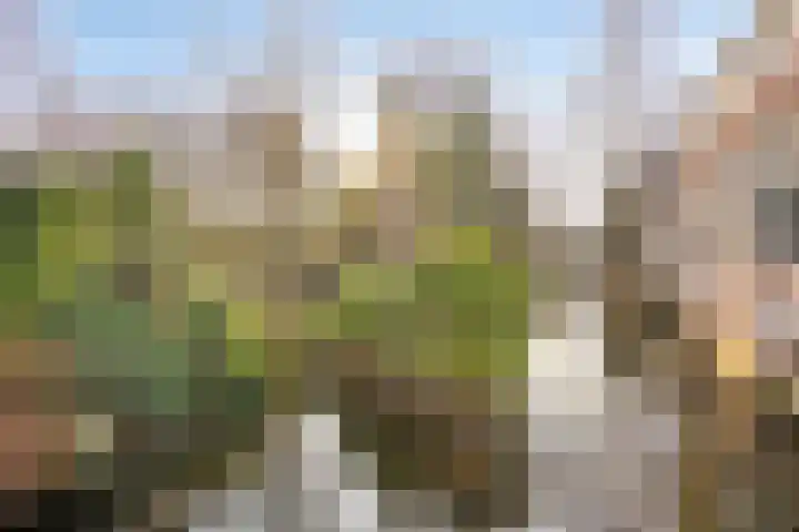 Vestestraat 11 Leiden thumbnail 22