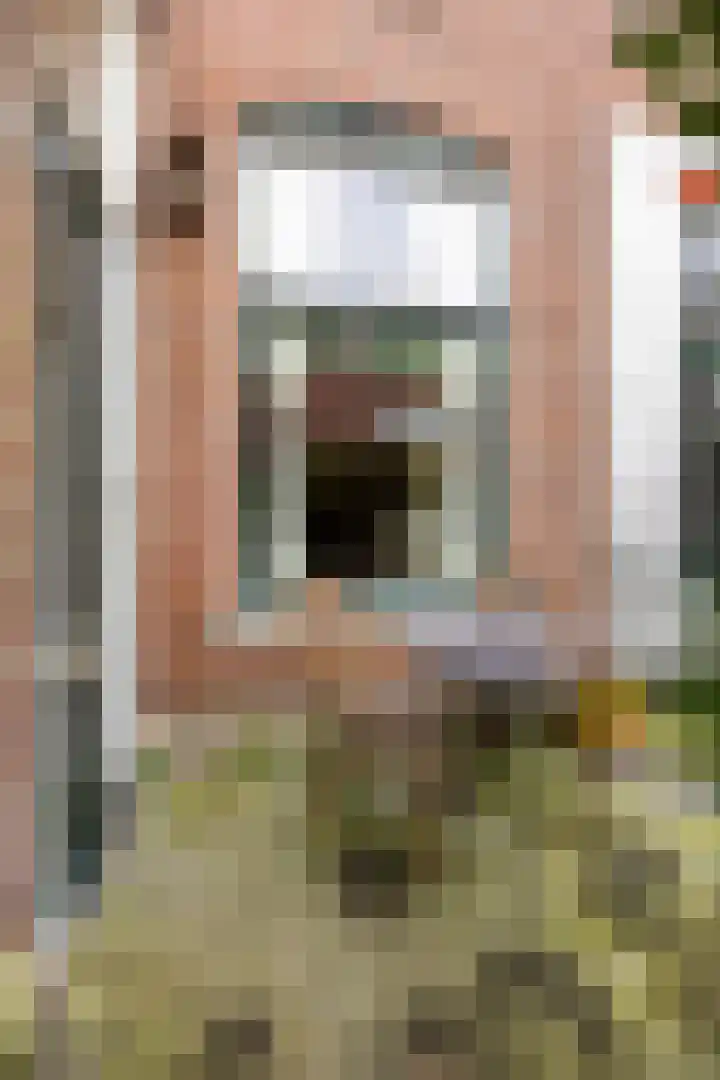 Vestestraat 11 Leiden thumbnail 7