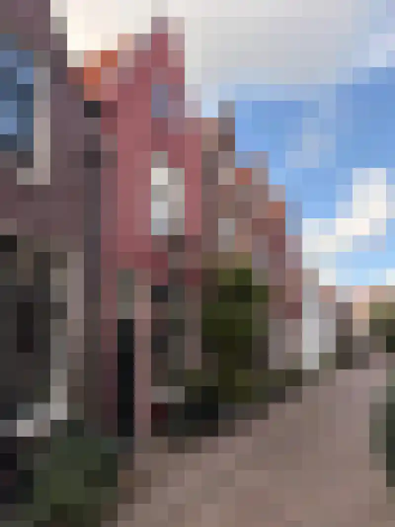 Vestestraat 114 Leiden thumbnail 7