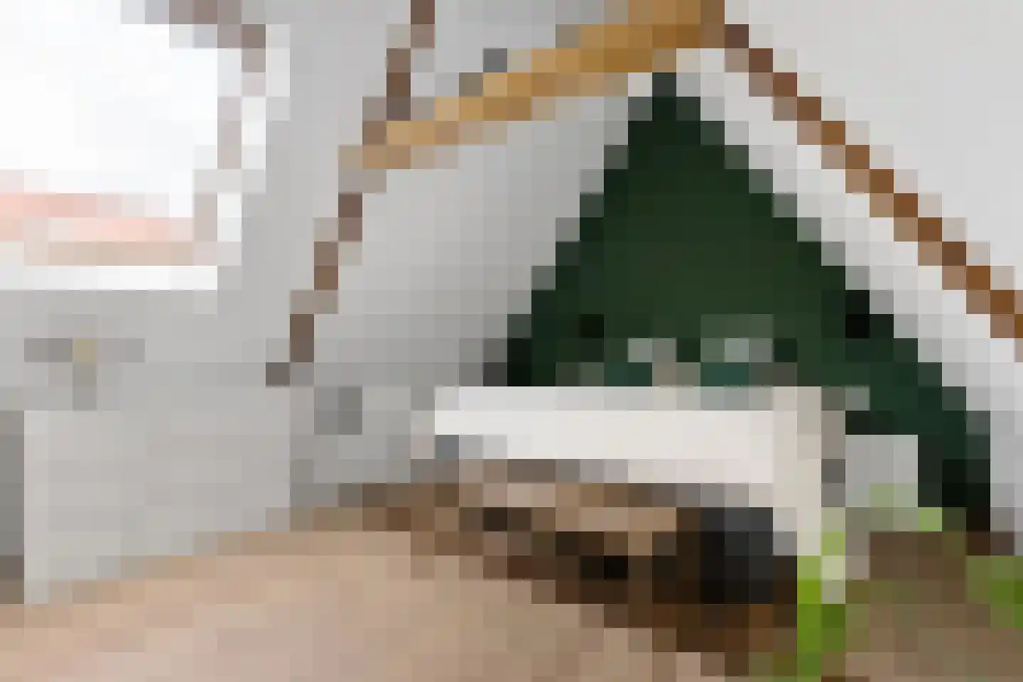 Vestestraat 25 Leiden thumbnail 4