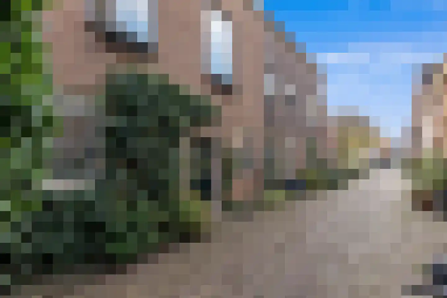 Vestestraat 25 Leiden thumbnail 5