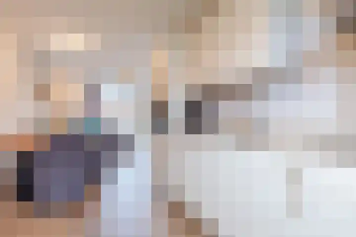 Vestetuin 33 Tholen thumbnail 10