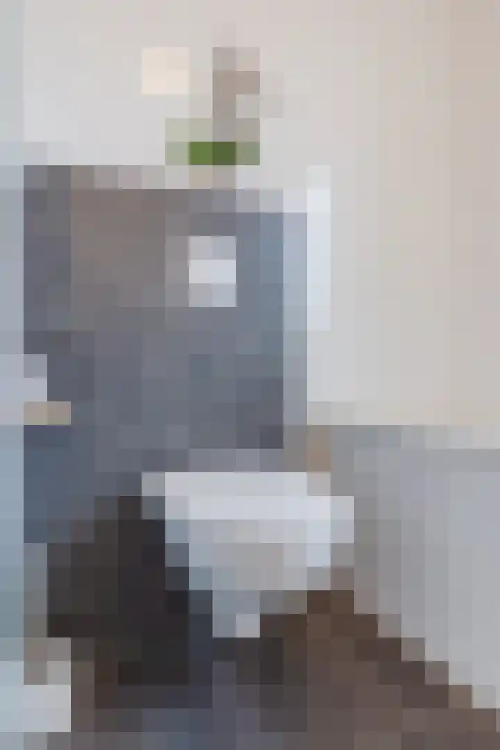 Vestetuin 33 Tholen thumbnail 22