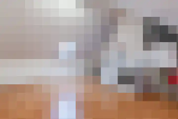 Vestetuin 33 Tholen thumbnail 26