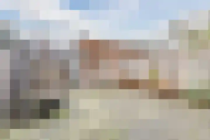 Vestetuin 33 Tholen thumbnail 28