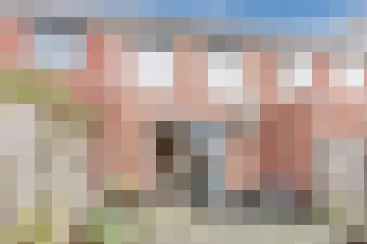 Vestetuin 33 Tholen thumbnail 31