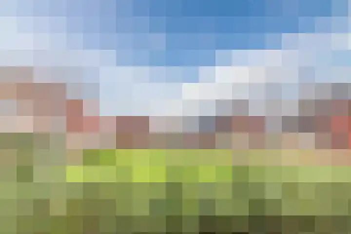Vestetuin 33 Tholen thumbnail 34