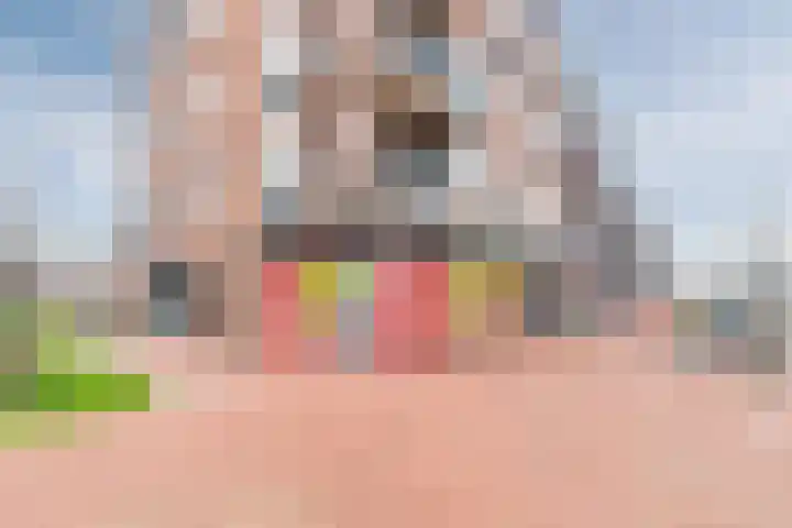 Vestetuin 33 Tholen thumbnail 40