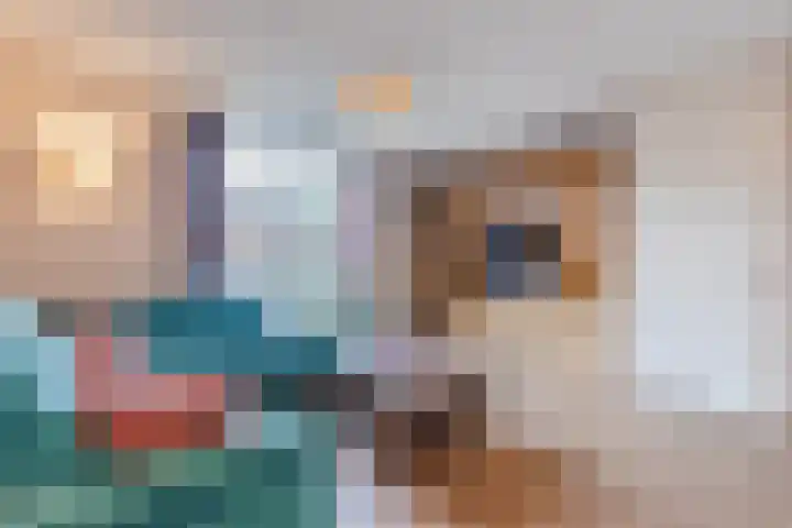 Vestetuin 33 Tholen thumbnail 6
