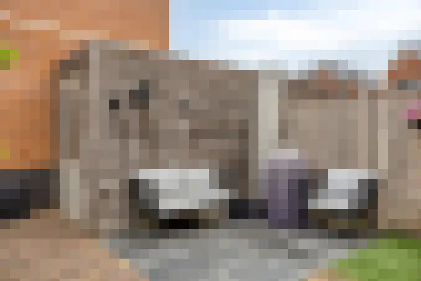 Vestgraaf 51 Sint-Michielsgestel thumbnail 51