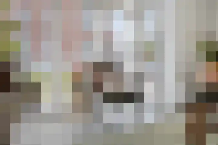 Vestgraaf 8 Sint-Michielsgestel thumbnail 10