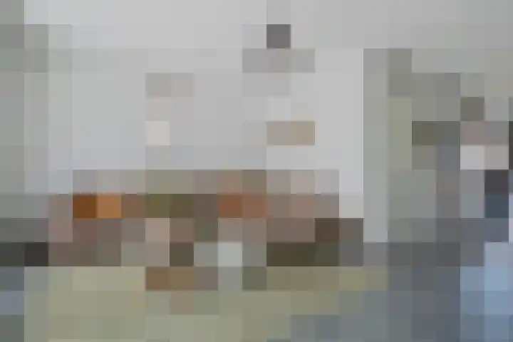 Vestgraaf 8 Sint-Michielsgestel thumbnail 11