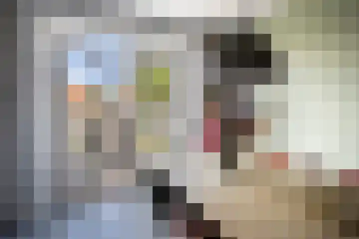 Vestgraaf 8 Sint-Michielsgestel thumbnail 13