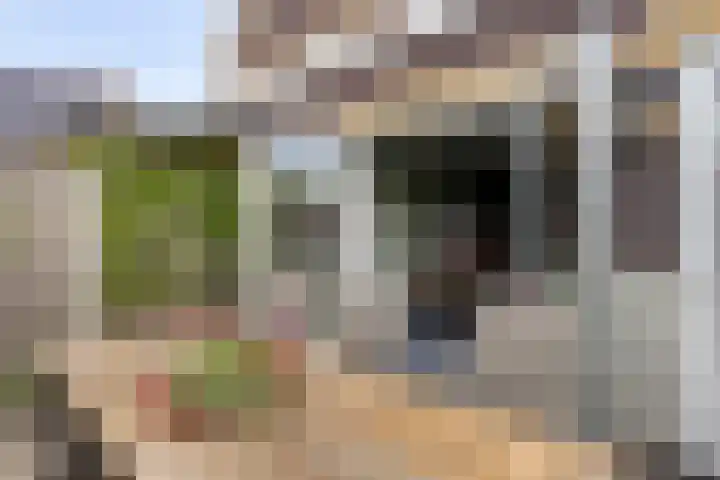 Vestgraaf 8 Sint-Michielsgestel thumbnail 17