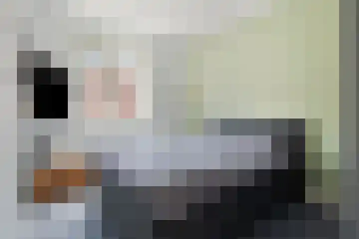 Vestgraaf 8 Sint-Michielsgestel thumbnail 20