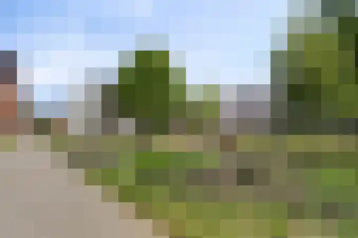 Vestgraaf 8 Sint-Michielsgestel thumbnail 28