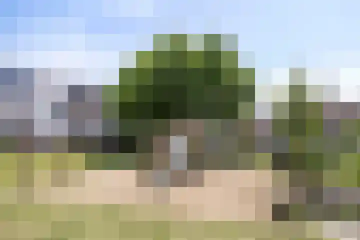 Vestgraaf 8 Sint-Michielsgestel thumbnail 30