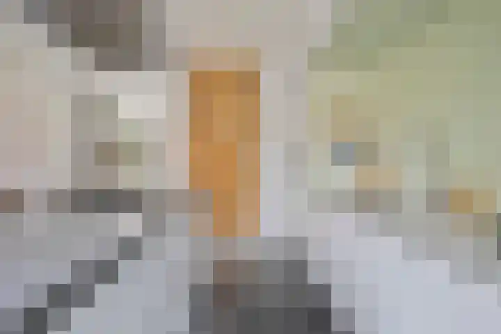 Vestgraaf 8 Sint-Michielsgestel thumbnail 7