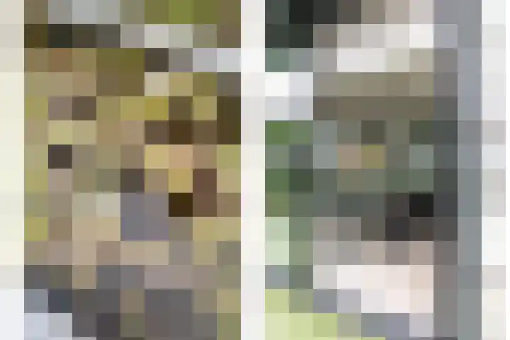 Vesting 11 Vijfhuizen thumbnail 14