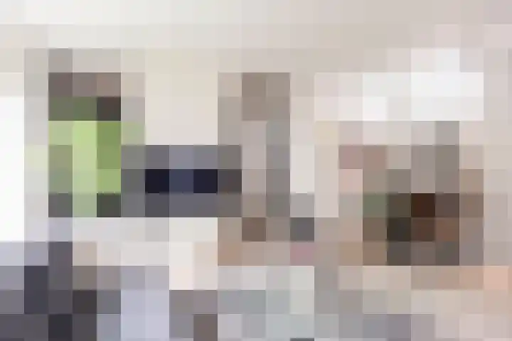 Vesting 11 Vijfhuizen thumbnail 17