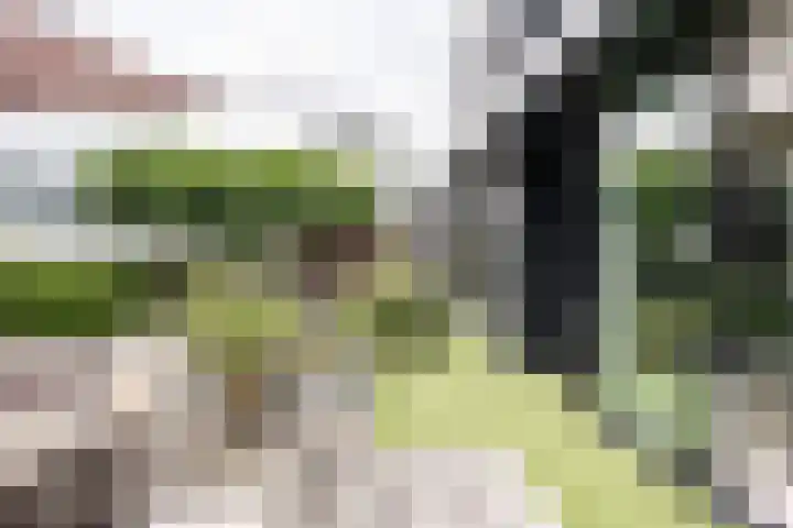 Vesting 11 Vijfhuizen thumbnail 23