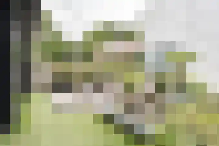 Vesting 11 Vijfhuizen thumbnail 25