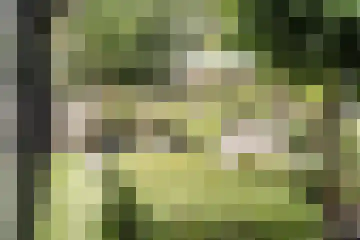Vesting 11 Vijfhuizen thumbnail 26