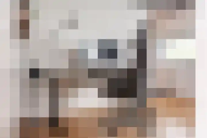 Vesting 11 Vijfhuizen thumbnail 34