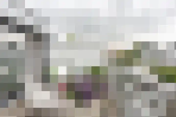 Vesting 11 Vijfhuizen thumbnail 37