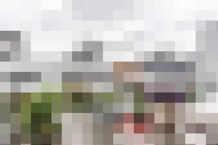 Vesting 11 Vijfhuizen thumbnail 38