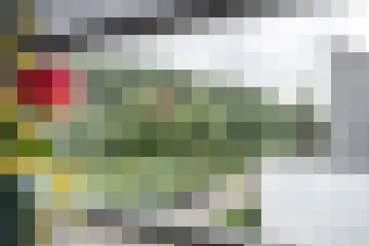 Vesting 11 Vijfhuizen thumbnail 49