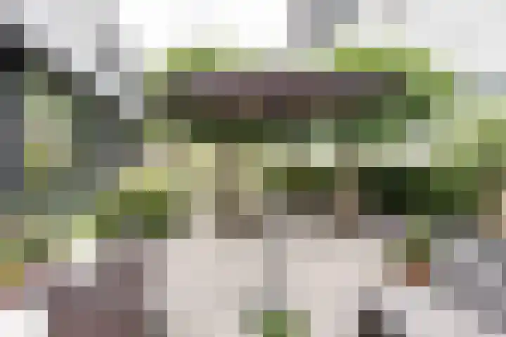 Vesting 11 Vijfhuizen thumbnail 5