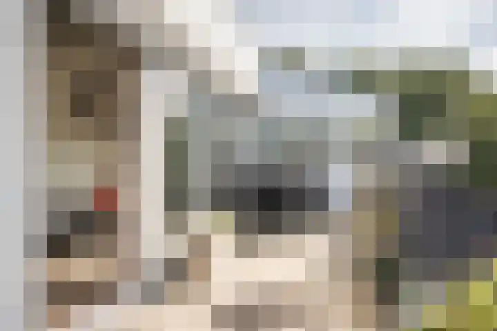 Vesting 118 Vijfhuizen thumbnail 20