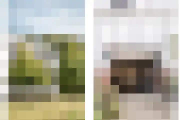 Vesting 118 Vijfhuizen thumbnail 30