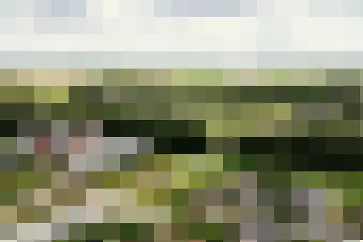Vesting 118 Vijfhuizen thumbnail 34
