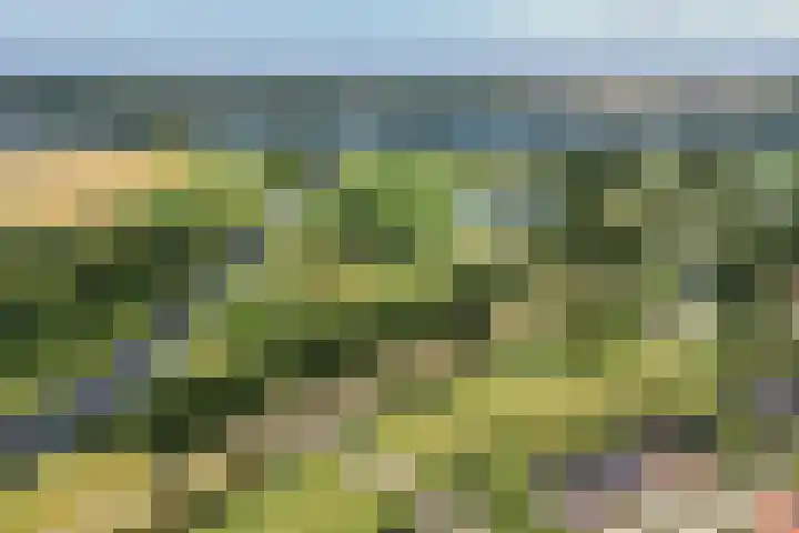 Vesting 118 Vijfhuizen thumbnail 36