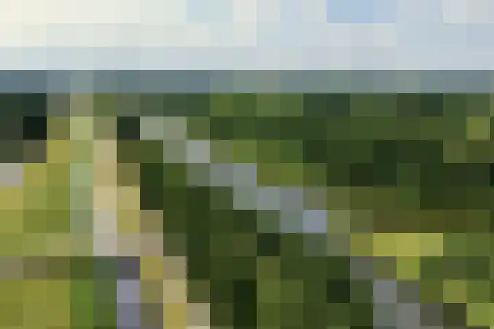 Vesting 118 Vijfhuizen thumbnail 37