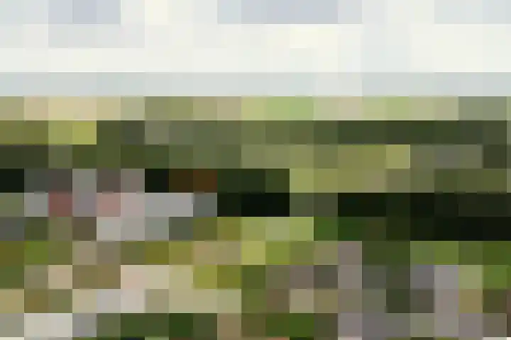 Vesting 118 Vijfhuizen thumbnail 5