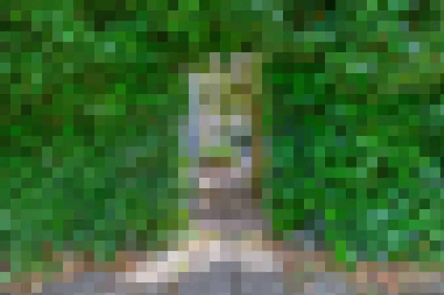 Vesting 23 Oost-Souburg thumbnail 17