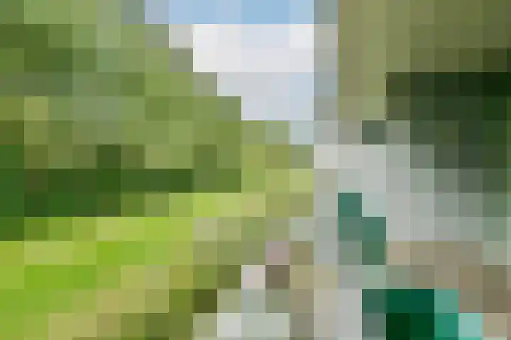Vesting 26 Vijfhuizen thumbnail 28