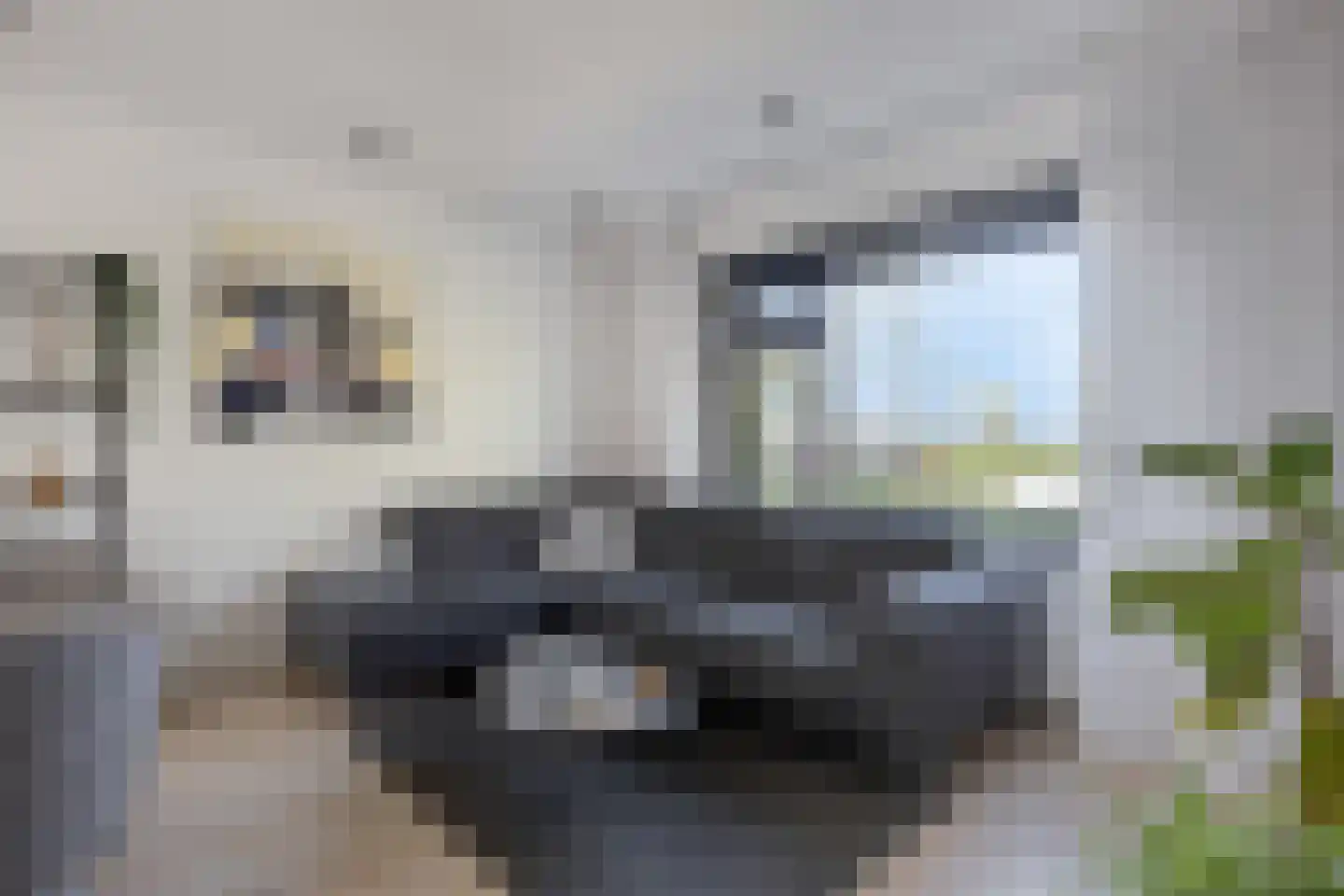 Vesting 3 Monnickendam thumbnail 11