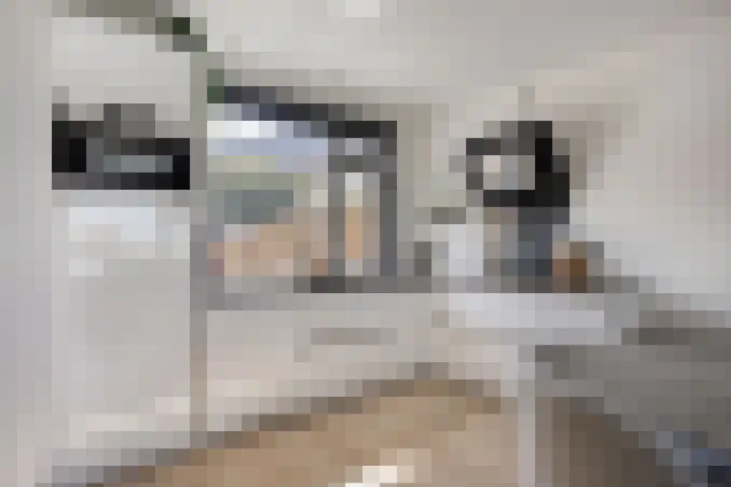 Vesting 3 Monnickendam thumbnail 5